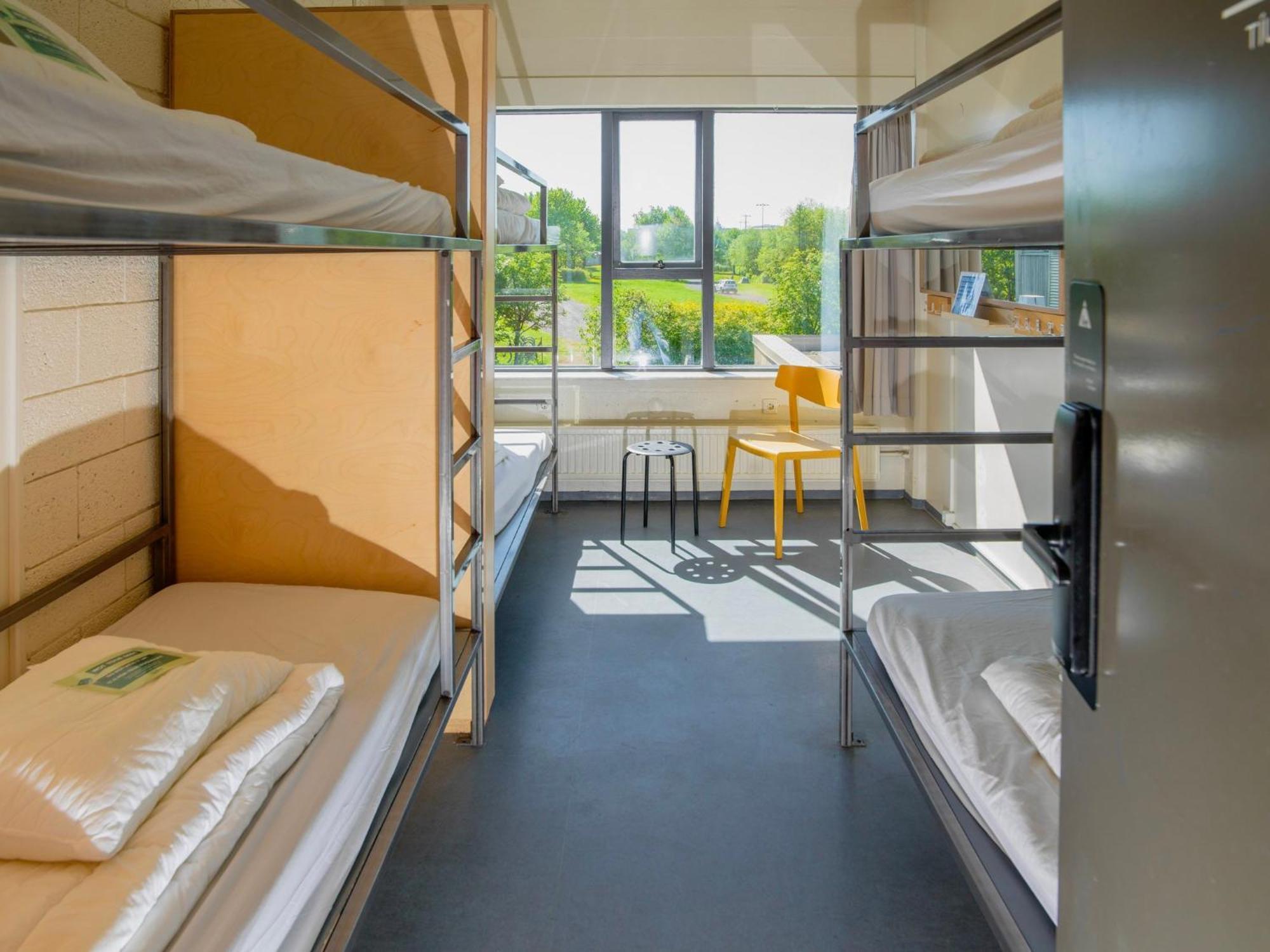 Single bed 6-Bed MIXED Dorm